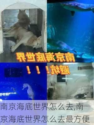 南京海底世界怎么去,南京海底世界怎么去最方便