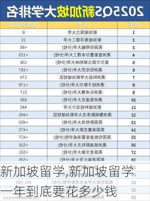 新加坡留学,新加坡留学一年到底要花多少钱