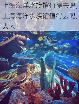 上海海洋水族馆值得去吗,上海海洋水族馆值得去吗,大人