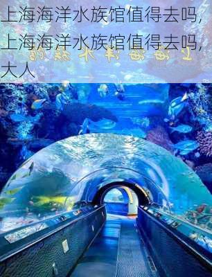 上海海洋水族馆值得去吗,上海海洋水族馆值得去吗,大人