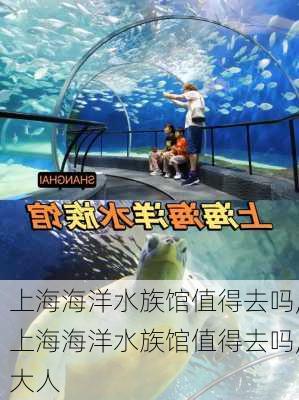 上海海洋水族馆值得去吗,上海海洋水族馆值得去吗,大人