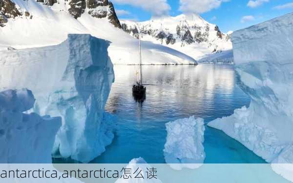 antarctica,antarctica怎么读