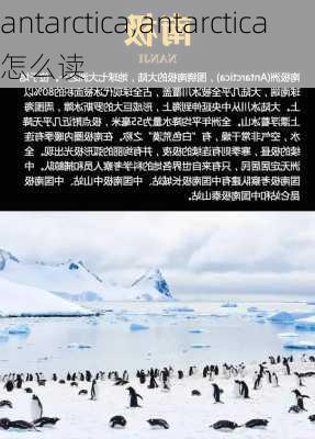 antarctica,antarctica怎么读