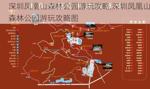 深圳凤凰山森林公园游玩攻略,深圳凤凰山森林公园游玩攻略图