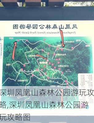 深圳凤凰山森林公园游玩攻略,深圳凤凰山森林公园游玩攻略图