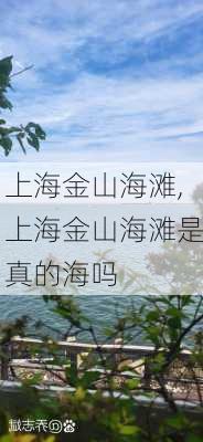 上海金山海滩,上海金山海滩是真的海吗