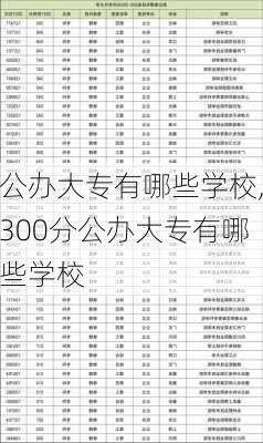 公办大专有哪些学校,300分公办大专有哪些学校