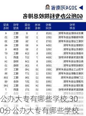 公办大专有哪些学校,300分公办大专有哪些学校