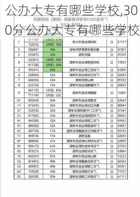 公办大专有哪些学校,300分公办大专有哪些学校