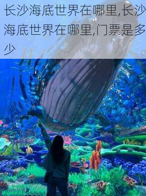 长沙海底世界在哪里,长沙海底世界在哪里,门票是多少