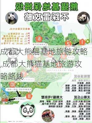 成都大熊猫基地旅游攻略,成都大熊猫基地旅游攻略路线