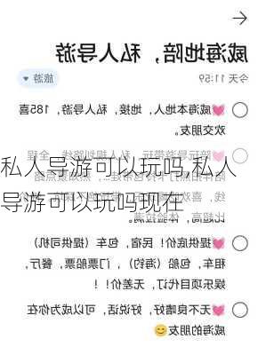 私人导游可以玩吗,私人导游可以玩吗现在