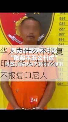 华人为什么不报复印尼,华人为什么不报复印尼人