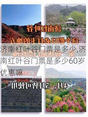 济南红叶谷门票是多少,济南红叶谷门票是多少60岁优惠嘛