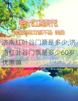 济南红叶谷门票是多少,济南红叶谷门票是多少60岁优惠嘛