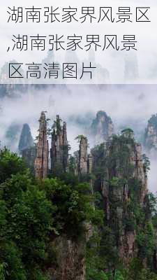 湖南张家界风景区,湖南张家界风景区高清图片