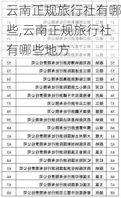 云南正规旅行社有哪些,云南正规旅行社有哪些地方