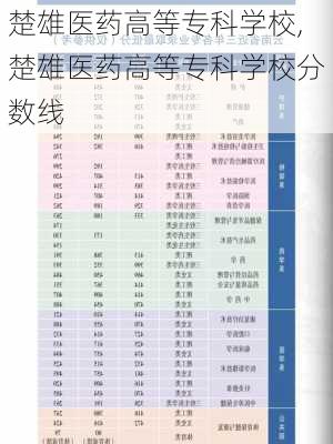 楚雄医药高等专科学校,楚雄医药高等专科学校分数线