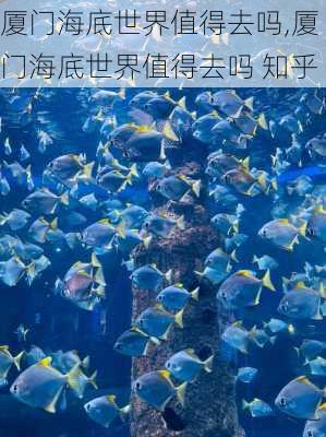 厦门海底世界值得去吗,厦门海底世界值得去吗 知乎