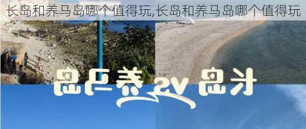 长岛和养马岛哪个值得玩,长岛和养马岛哪个值得玩