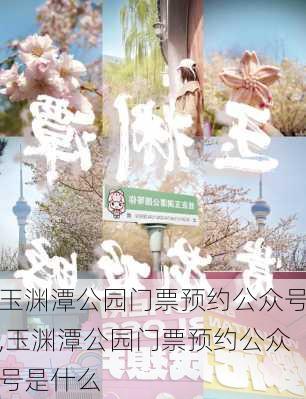 玉渊潭公园门票预约公众号,玉渊潭公园门票预约公众号是什么