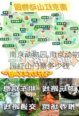 南京动物园,南京动物园红山门票多少钱