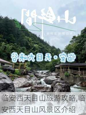 临安西天目山旅游攻略,临安西天目山风景区介绍