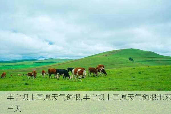 丰宁坝上草原天气预报,丰宁坝上草原天气预报未来三天