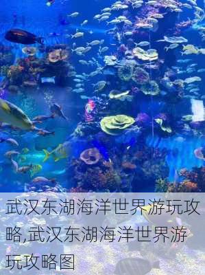 武汉东湖海洋世界游玩攻略,武汉东湖海洋世界游玩攻略图