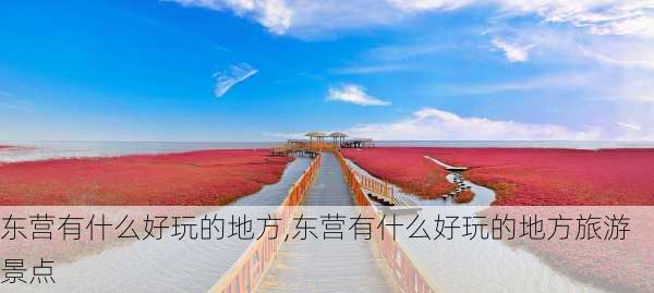 东营有什么好玩的地方,东营有什么好玩的地方旅游景点