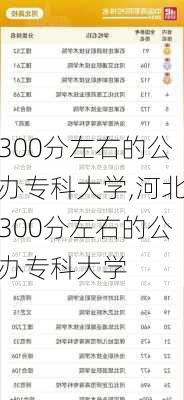 300分左右的公办专科大学,河北300分左右的公办专科大学