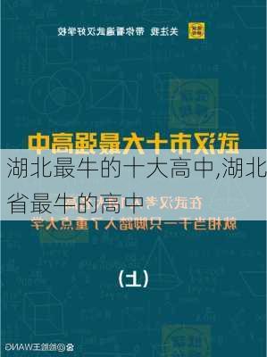 湖北最牛的十大高中,湖北省最牛的高中