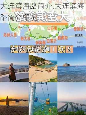 大连滨海路简介,大连滨海路简介概况